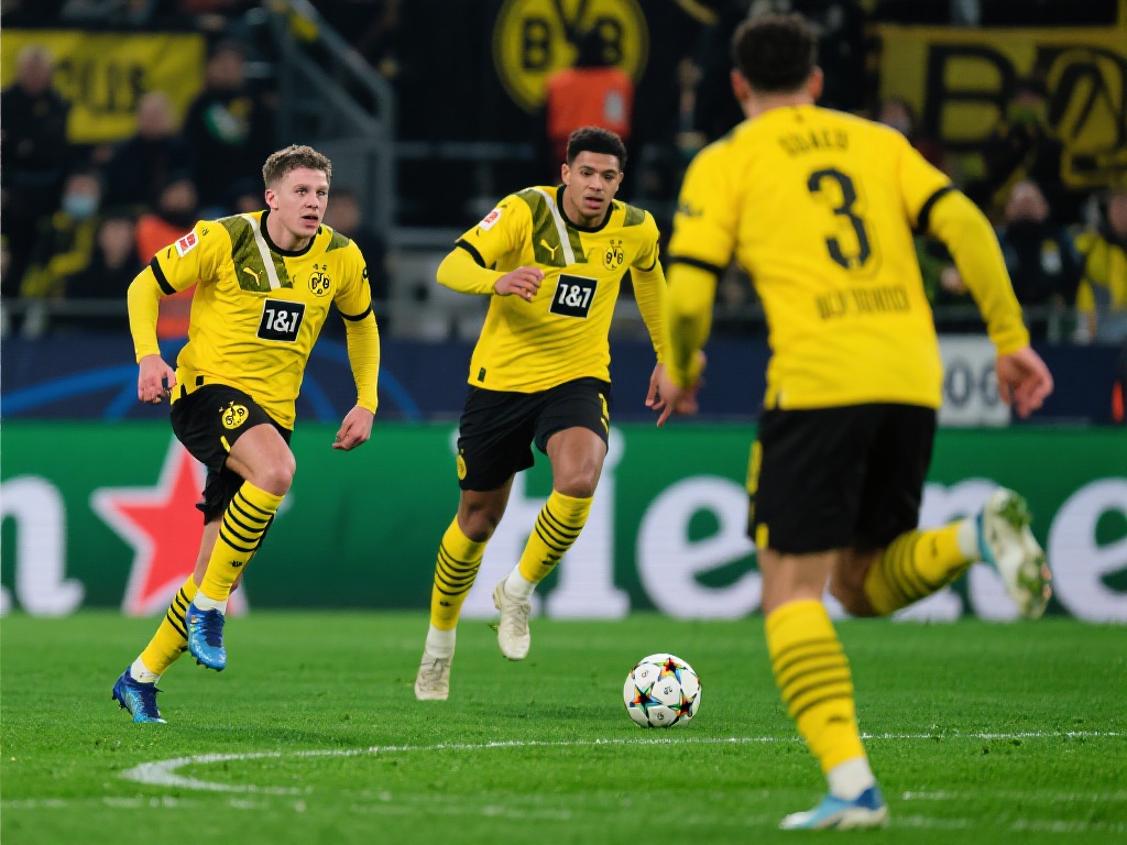 和体能的较 和体能的较